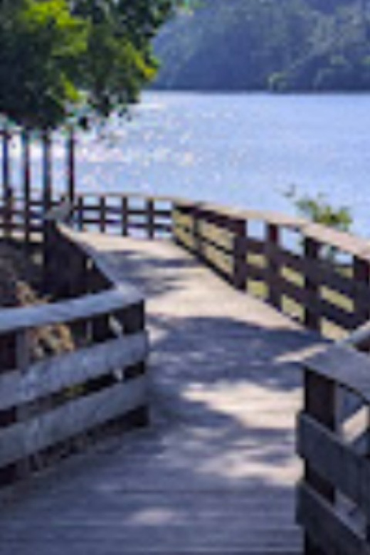 Walk with strangers - Douro Landscapes - From the scenic Douro River to meaningful connections