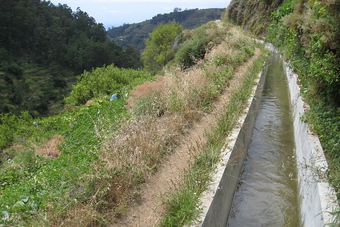 Walking Experience in the Serra D'Água Valley - The Guide: Knowledgeable and Engaging
