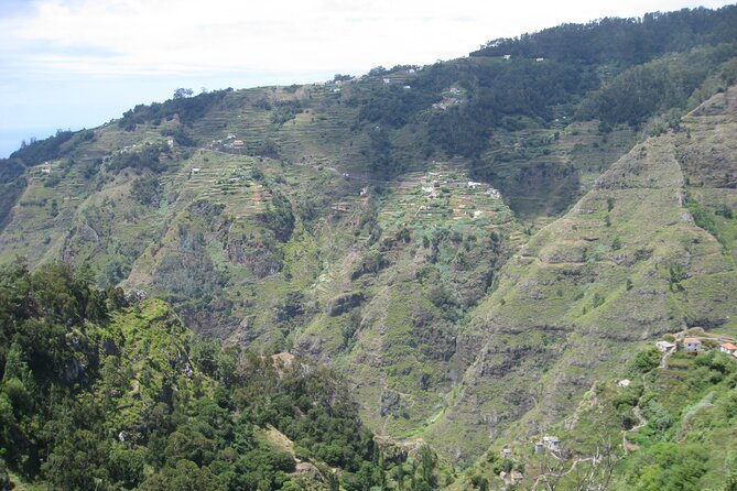 Walking Experience in the Serra D'Água Valley - Practical Details: Group Size, Timing, and Accessibility