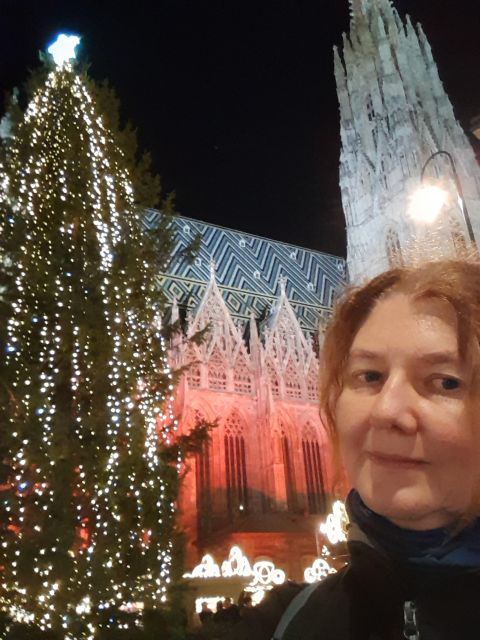 Walking on the historical trail of Viennese Christmas Trees - Visiting Downtown Christmas Trees at Am Hof and Rathausplatz