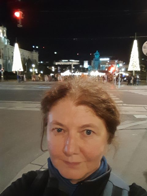 Walking on the historical trail of Viennese Christmas Trees - Logistics, Pacing, and Weather Considerations