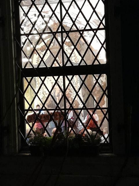 Walking on the historical trail of Viennese Christmas Trees - Value and Booking Flexibility