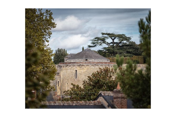 Walking Photography Tour of Amboise conducted in English - The Value of a Private, Bespoke Photography Experience