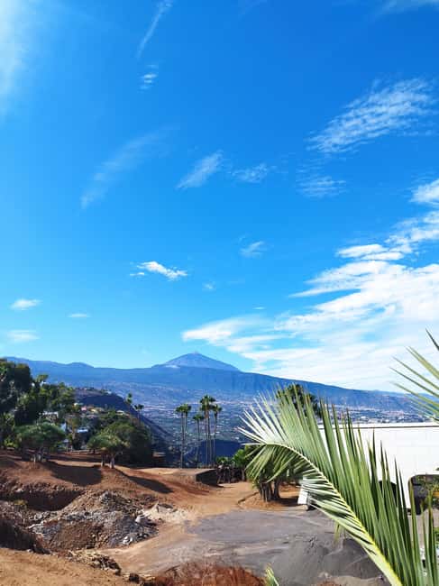 Walking route Icod de los Vinos 1:30h - Visiting Casa del Drago and Enjoying the Vegetation