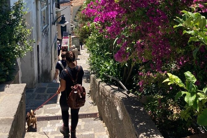 Walking tour from Minori to Maiori along the Path of the Lemons - Practical Details and Logistics of the Tour