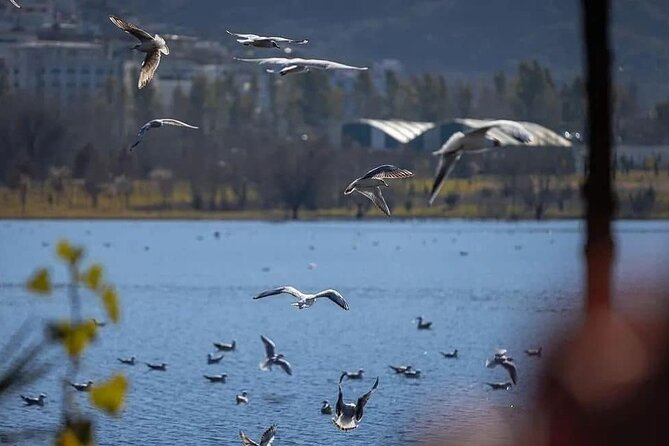 Walking Tour Historic Jewels in Tirana - Exploring the Blloku Neighborhood
