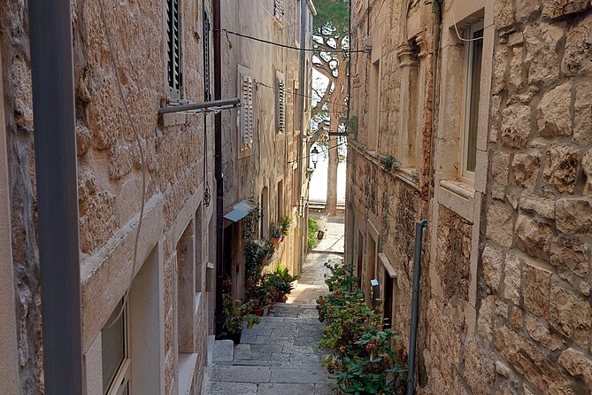 Walking Tour in old town Korcula 1 Hour - The Practicalities of the Tour Experience
