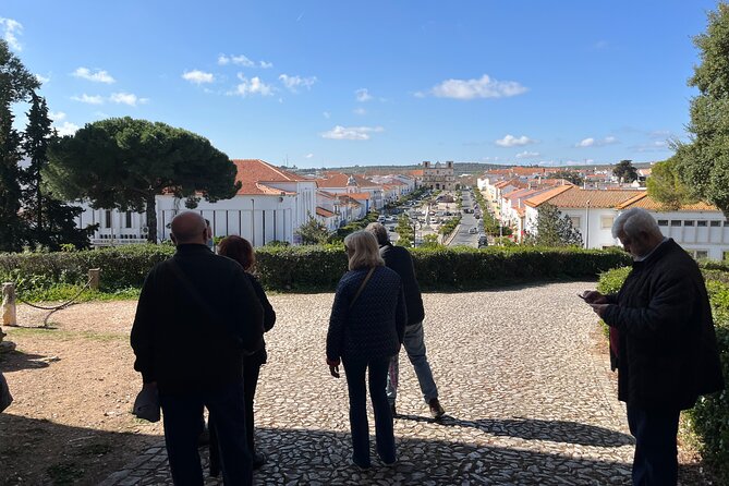Walking Tour in Vila Viçosa - Delving into Vila Vicosa Castle and Its Fortifications