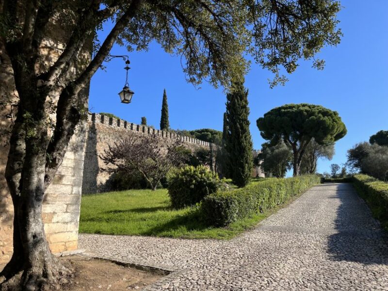 Walking Tour in Vila Viçosa - The Ducal Palace: A Royal Residence and Cultural Treasure