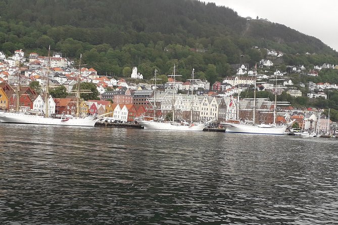 Walking tour: Medieval Spirit of Bergen + sweet Arctic gifts - Explore Bergens Medieval Charm with a Private Guide