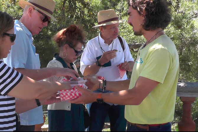 Walking Tour of Old Nice and Castle Hill - Starting Point at Fontaine du Soleil and Easy Meet-up
