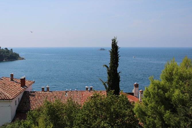Walking tour of Rovinj - Why This Tour Excels for First-Time Visitors