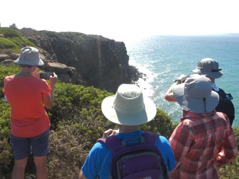 Walking tour of the Peninsula of the Two Seas - The Experience Provider: ALEA Società Cooperativa