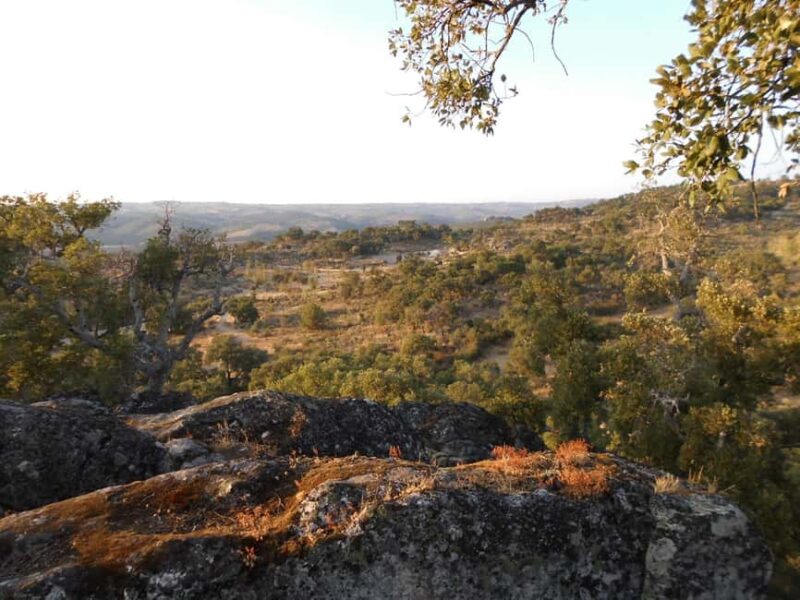 Walking Tour Quadrassal - Romeu - Exploring the Walking Tour Quadrassal - Romeu in Portugal