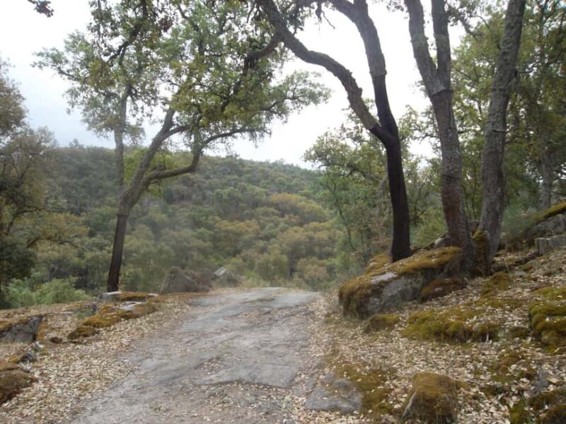 Walking Tour Quadrassal - Romeu - Logistics and Practical Details