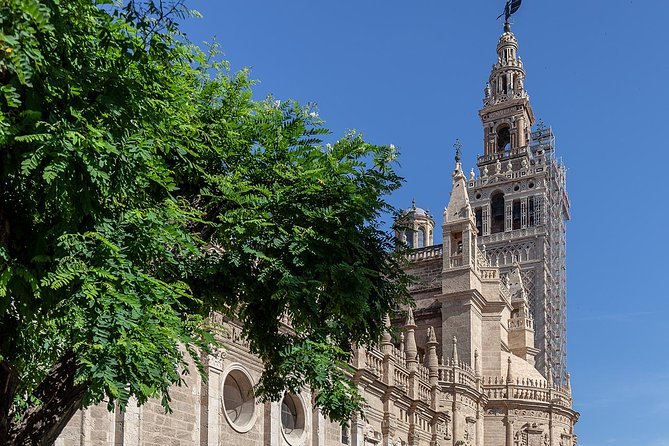 Walking tour through the monumental and historical area of Seville - Murillo Gardens and the Old Orchards