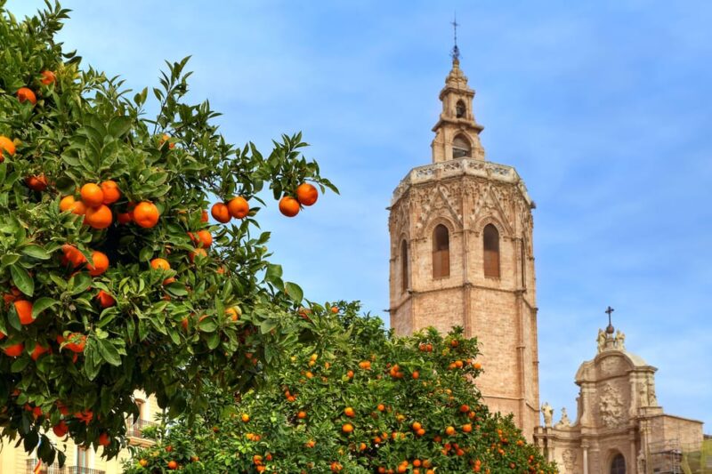 Walking Tour through Valencia's Historic Centre - Discovering Valencia’s Cultural Heritage