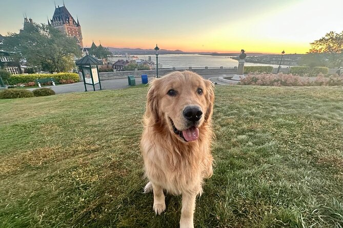 Walking tour with Guide Felix and his dog Meo - Discover Quebec City’s Historic Charm with Guide Felix and Meo