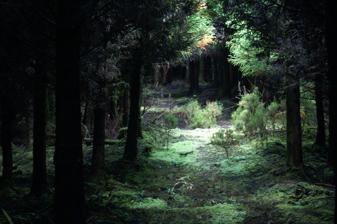 Walking Trails of Terceira - Exploring Quatro Ribeiras and Ocean Views