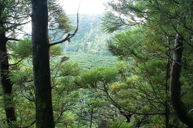 Walking Trails of Terceira - Practicalities: Logistics and Included Amenities