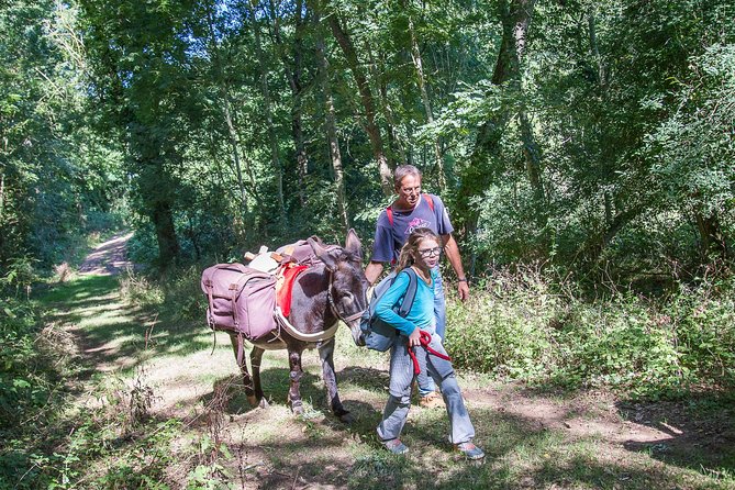 Walks and hikes with donkeys - Walks and Hikes with Donkeys in Lyon: An Authentic Nature Adventure for All Ages