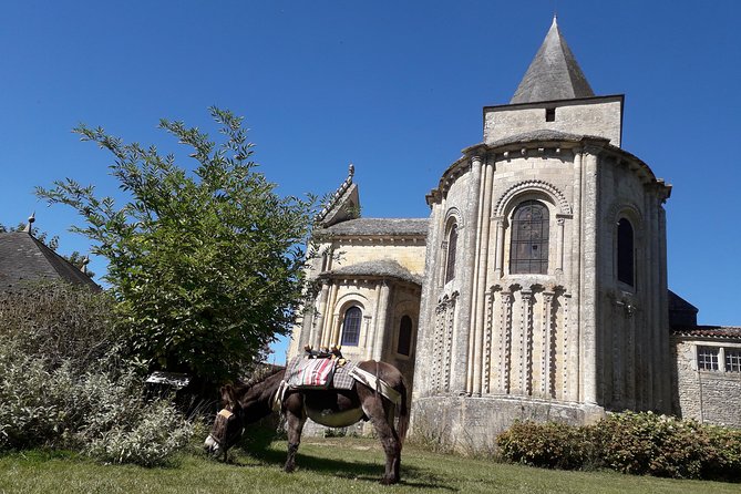 Walks and hikes with donkeys - Key Points