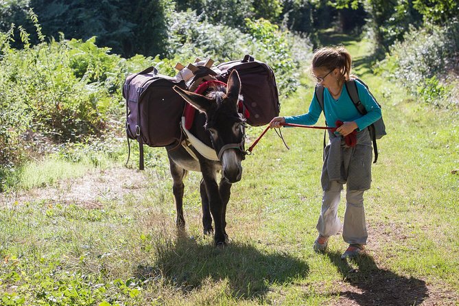 Walks and hikes with donkeys - Discovering Fairy Caves and Castles on Foot and Donkey