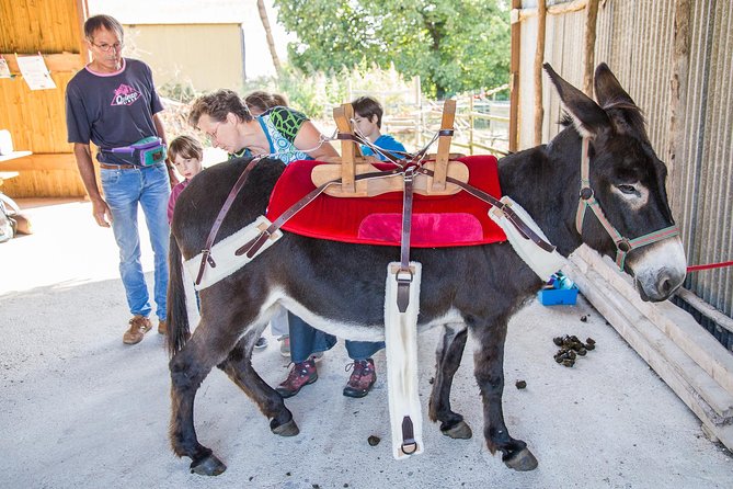Walks and hikes with donkeys - Flexibility and Weather Considerations