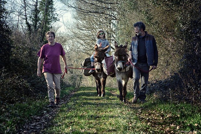 Walks and hikes with donkeys - Comparing This Tour to Similar Experiences in Lyon