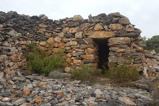 Walks in the heart of the secret vineyards around Collioure, tastings - Comparing This Tour to Other Experiences