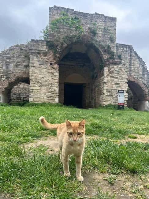 Walls of Contantinople and Byzantine Palace Tour - Practical Details: Logistics and Inclusions