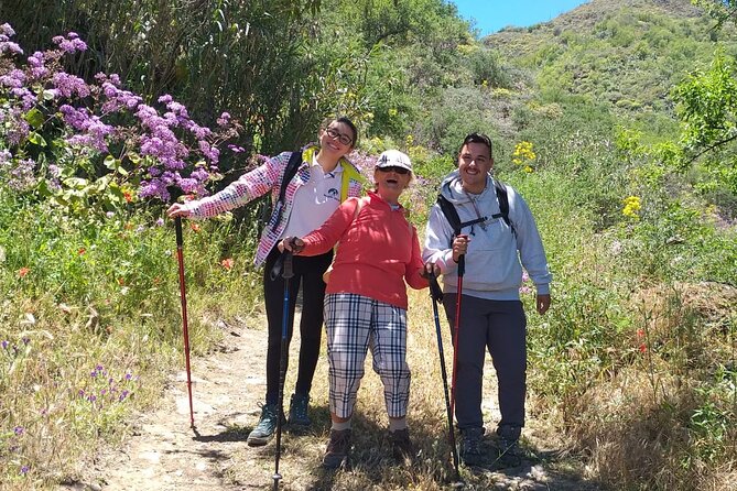 Wanderungen im grünen Gran Canaria - The Guide’s Expertise and Style