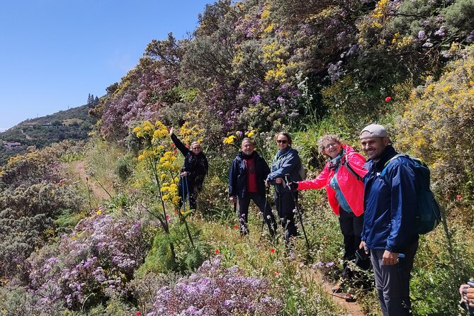 Wanderungen im grünen Gran Canaria - Value and Comparison to Other Experiences
