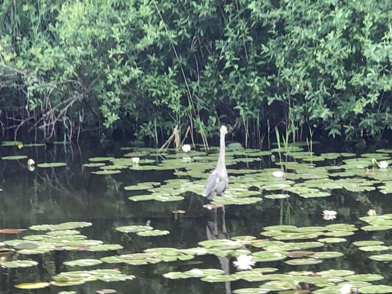 Waren (Müritz): Fun Cruise motor yacht with skipper - 4 hours - Key Points