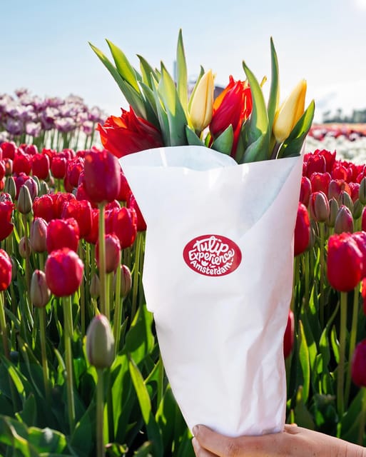 Warmond: Kagerplassen Cruise with "Tulip Experience" Ticket - The Tulip Museum and Its Floral Wonders