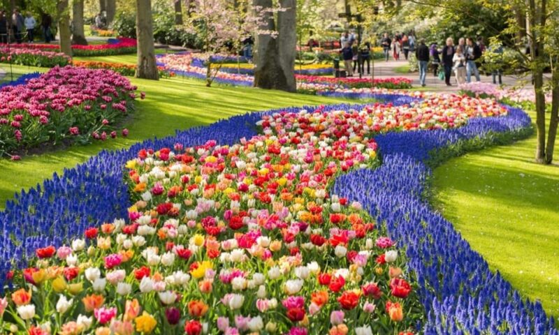Warmond: Windmill Cruise and Keukenhof Entry Ticket - Key Points