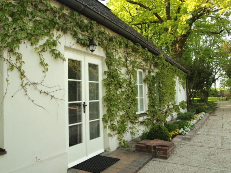 Warsaw and Zelazowa Wola: Frédéric Chopin Private Tour - Additional Sites: Palace of Radziwiłł and Concert Opportunities