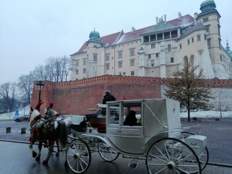Warsaw: Auschwitz-Birkenau and Krakow Tour by Car - Key Points