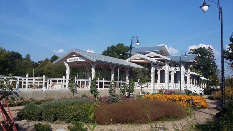 Warsaw: Bialowieza National Park and European Bison Tour - Visiting the European Bison Reserve