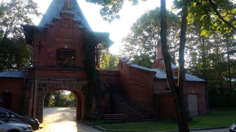 Warsaw: Bialowieza National Park and European Bison Tour - The Sum Up: A Unique Opportunity to See Europe’s Largest Population of European Bison