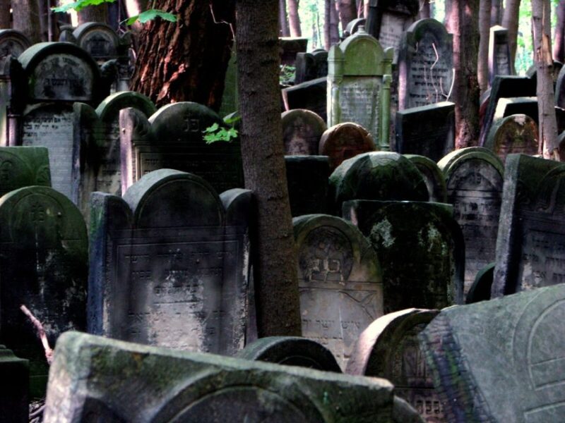 Warsaw: Jewish Heritage 4-Hour Private Tour - Nozyk Synagogue: A Surviving Architectural Treasure