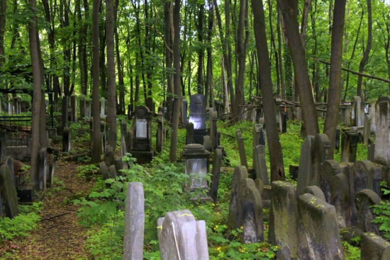 Warsaw Jewish Heritage Private Tour in Retro Fiat - Visiting the Noyks Synagogue and Its Significance
