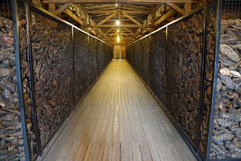 Warsaw: Majdanek Concentration Camp & Lublin Guided Day Tour - What the Tour Includes: Comfort, Food, and Photos