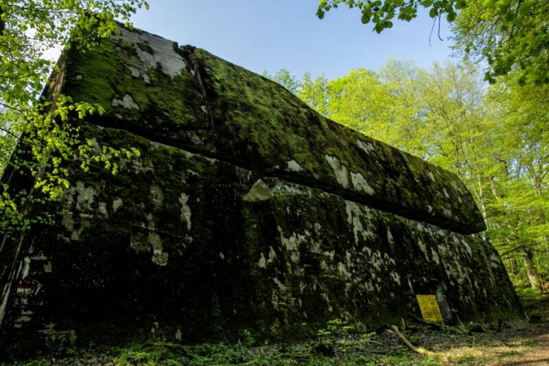 Warsaw: Private Full-Day Wolf's Lair Tour - Expert Guides and Personalised Attention