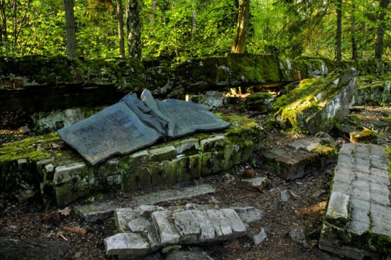 Warsaw: Private Full-Day Wolf's Lair Tour - Comfortable Transportation and Logistics