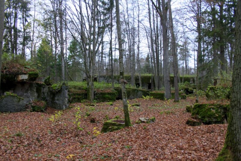 Warsaw: Private Full-Day Wolf's Lair Tour - Final Thoughts on the Wolf’s Lair Tour