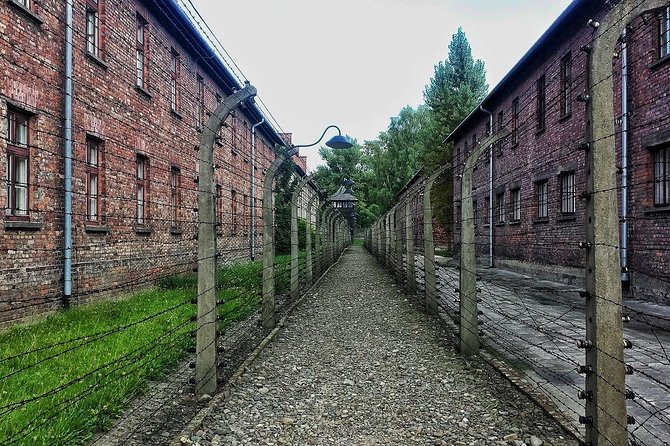 Warsaw to Auschwitz and Krakow Old Town Full-Day Trip by Car - Logistics: How the Tour Is Organized
