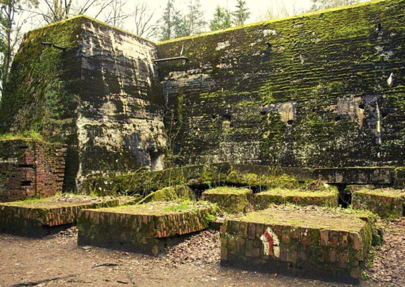 Warsaw: Wolf's Lair & Swieta Lipka Small-Group Tour + Lunch - Key Points