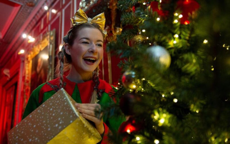 Warwick: Entry Ticket for Warwick Castle - Practical Tips for Visiting Warwick Castle