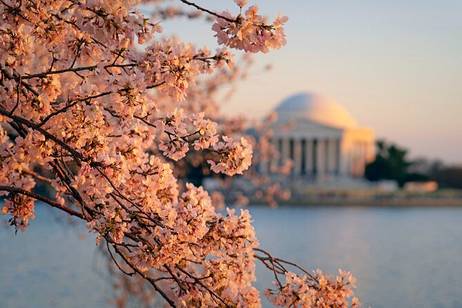 Washington D.C.& Philadelphia 2-Day Tour from New York City - Nighttime Bus Tour of Washington D.C.